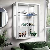 K-Möbel Hängevitrine Glas in Weiss (80x60x25 cm) mit 2 höhenverstellbaren Glasböden - Modellauto - Vitrinenschrank - Sammlervitrine - Glasvitrine klein Regal Mini Vitrine