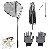 Kescher Angeln Hühnerfänger Einziehbarer Unterfangkescher Gummiert Faltbare Fischernetz Teleskop Kescher Angelkescher Watkescher Zum Fangen von Fischen Geflügel für Erwachsene Kinder