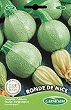 Germisem Zucchini RONDE DE NICE EC4017 mehrfarbig