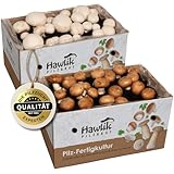 Hawlik Pilzbrut - Champignon Zuchtset - 2er Pilzzuchtbox Komplettset mit Anleitung - Erntefrische Pilze Zuhause züchten - ganz ohne Garten - für Anfänger & Kinder