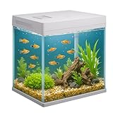 VIALIA Panorama Aquarium, 10 L, Aquarium Komplettset mit integrierter LED-Beleuchtung, Filterkammer und Futterklappe, 25x26x18cm, für Zierfische