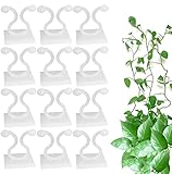 Yrlehoo 100 Stücke Kletterpflanzen Clips Pflanzenclips, Selbstklebend Pflanzen Kletter Wandbefestigungs Clips Verstellbar Wandbefestigungsclips für Rebe Weinpflanzen Büro Kabelbefestigung