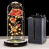 Touloube Geschenke Für Frauen Weihnachten Galaxy Rose Blume Geschenk, Infinity Rose in Glaskuppel LED-Lichterkette,Geschenke für Frauen Weihnachten,Einzigartiges Jahrestag und Geburtstag