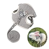 Verstellbares Kaninchen Leine und Geschirr Set, Haustier Zubehör für Häschen Katze Little Pet Walking, 27-35 cm, 1,20 m