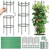 Tomaten Rankhilfe, 141 PCS Gurken Rankhilfe Mit Verstellbarer Höhe, Tomatenkäfig, Pflanzenstütze, Tomatenturm, Gurkenturm Rankhilfe, Rankgitter für Tomaten, Gurken,Blumen,Pflanzen,Garten