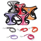 Veemoon Verstellbares Hundegeschirr und Leinen Satz für Kleine Hunde Atmungsaktives Leichtes Welpengeschirr mit Schnellverschluss Brustgeschirr für Welpentraining und Spaziergänge