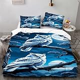 Ruiqieor Bettwäsche 135x200cm,Tier Eule Motiv Bettbezug mit ReißVerschluss und 2 Kissenbezug 80x80 cm, Weich Mikrofaser Bettwäsche-Sets 3 Teilig（#4）