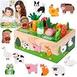 Yoodriy Montessori Holzspielzeug, Karotten Steck-Spiel & Sortierpuzzle aus Holz, Fördert Hand-Auge-Koordination und Formen-Farben-Lernen, Lernspielzeug als Geschenk, Ideal für Kinder