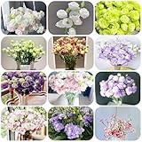 eustoma - samen garden balkonblumen pflanztöpfe lisianthus blumensaat pflanzensamen gartenpflanzen balkon deko bonsai saatgut gartenblumen zimmerpflanzen - seltene 800pcs
