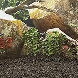 Basalt-Kies, Aquariumkies mit reichen Spurenelemente, Natürlicher feiner Dekosand für Aquarium Garten, Zierkies Basaltsplitt 10 kg Schwarz 1-3 mm
