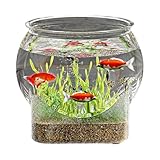 Dzqad Rundes Fischglas, Aquarien Fischschalen, Tischaquarium für Kampffische und Schildkröten, 16x16x14cm