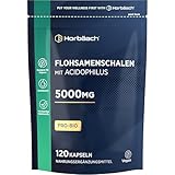 Flohsamenschalen Kapseln 5000mg mit Acidophilus | 120 Vegane Stk | 5000 mg Flohsamenschalenpulver + Lactobacillus acidophilus | Pro-bio Ballaststoffe Complex | Horbaach