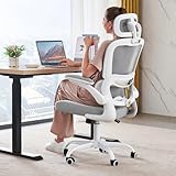 TRALT Bürostuhl Schreibtischstühle Mesh Computer Schreibtischstuhl mit Rollen Ergonomischer Bürostuhl Höhenverstellbar Drehstuhl Arbeitsstuhl (Schwarz) (Kopfkissen, Hellgrau)