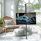 GUODDM LCD TV 360 Grad Drehbarer Rahmen, Bodenständer, Trennwand, Drehbares Gestell, Drehbarer TV-Schrank, Drehbare Basis, Verstellbare, Neigbare, Schwenkbare TV Deckenhalterung(170-205cm)