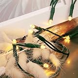 hellum LED mini Lichterkette innen, 2,85m Lichtlänge 20 LED Lichterkette innen, LED klassisch warmweiße Lichterkette mit Stecker,  59lm, Weihnachtsbaum Lichterkette Strom Kabel grün, 577549