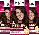 Palette Intensiv Creme Coloration 3-65/750 Schokobraun (3 x 115 ml), permanente Haarfarbe für leuchtende, langanhaltende Farbbrillanz & 100% Grauabdeckung