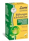 Luvos Gastrosan bei Blähungen & Schmerzen mit Duo-Wirkeffekt, 30 Kapseln