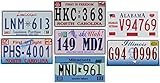 OPO 10 - Los mit 7 USA Autokennzeichen aus Metall - Repliken von echten amerikanischen Kennzeichen (V10)