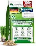 Rasensamen schnellkeimend Herbst 0,5kg 20qm - TEST SEHR GUT - Schnell wachsende Rasen Nachsaat Made in Germany - Premium Grassamen schnellkeimend - Rasensaat für sattgrünen Traumrasen