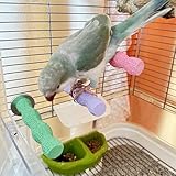 3 x Vogel-Sitzstangen für Käfig, Papageien-Sitzstange, Käfigständer, Plattform (große Größe)