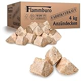 Öko-Anzündecken (4 kg) aus zerkleinerten Holzfasern gepresst mit extra viel pflanzlichem Wachs - ökologische Anzünder, Grillanzünder, Kaminanzünder, Anzündmittel - Alternative zu Anzündwolle (4kg)