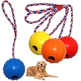 4 Ball mit Schnur Hund, ø 5/30 cm Wurfball am Seil Naturkautschuk, Hundespielzeug Ball mit Seil extrem Weite Würfe, Hundeball Snackball, Hundebälle Kleine Hunde, Große Hunde (Rot Gelb Blau Orange)