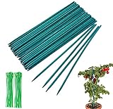 100 Stück 45cm Pflanzenstab Bambus Grün Pflanzstäbe Tomatenstäbe,Orchideenstab Plant Sticks mit 100 Metallischen Bindebändern,für Haus Garten Kletterpflanze Erweiterung der Pflanzenstütze
