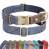 Didog Weich gepolstertes Lederhalsband für mittelgroße Hunde, klassisches Hundehalsband mit Metall-Schnellverschluss, verstellbar, mittelgroß, Kunstleder, blau, M