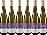 Thielen-Feilen CHARISMA Gewürztraminer 2024 Trocken (6 x 0.75 l)