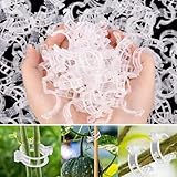 100/200 Stück Pflanzenstützen, Gartenclips, Tomatenklammern, gesicherte Kunststoff-Pflanzenclips, für Kletterpflanzen, Gartenclips, Pflanzenstütz-Clips, Pflanzenstütze, 100 Stück