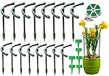 16 Stück Pflanzenstütze für den Garten, Kunststoff Halbrunde Garten Pflanzenhalter Blumenstütze Pflanzenstütze für Topfpflanzen, Tomaten, Gemüse, Rose, Pfingstrose (8Stück 15x24cm+8Stück 15x14cm)