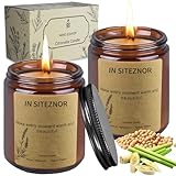 BNWRRCVKE Citronella Kerze aus Sojawachs, Outdoor und Citronella Duftkerzen für Zuhause 120 Std. Brenndauer, Outdoor Kerzen, 2 Stk Duftkerzen-Set für Camping für Picknick, Garten, Terrasse