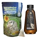 Oligri Bio Bergtee & Honig Set | 30 Teebeutel Sideritis Scardica + 500 ml Kreta Honig in Quetschflasche | Premium Qualität aus Griechenland
