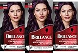 Brillance Intensiv-Color-Creme 888 Dunkle Kirsche (160 ml), dauerhafte Haarfarbe mit Diamant-Glanz und Pflege-Conditioner, für 10 Wochen Farbintensität