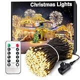 ARKOCHIC 30M Lichterkette außen, 300 warmweiß LED Lichterkette Weihnachtsbaum außen innen mit Fernbedienung,8 Modi wasserdicht Weihnachtsbeleuchtung aussen für Garten Balkon Hochzeit Lights