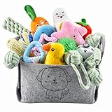 Ousiya 24-Stück Welpenspielzeug-Set, Welpenspielzeug zum Zahnen mit Aufbewahrungsbox, Hundespielzeug und quietschendes Hundespielzeug, Kauspielzeug für kleine und mittelgroße Hunde, zum Spielen
