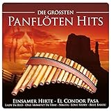 Die Größten Panflöten Hits (inkl. Einsamer Hirte; El Condor Pasa; Lady In Red; One Moment In Time; Blue Bayou; uva.)