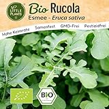 Little Plants BIO Rucola Samen 300 Rucolasamen Esmee Rukola Gemüsesamen für Gemüsegarten Samenfest Gemüse Samen für Küche, Balkon und Garten