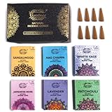 Raajsee Natürliche Räucherkegel, 6 Stück, gemischte Düfte, Geschenkpackung, je 15 Stück (90 insgesamt), 100 % biologisch, ungiftig, natürlich, handgerollt, frei von Chemikalien (1 Stück)