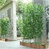 Künstlicher Bambus-Sichtschutz, realistischer Kunst-Bambus-Pflanzenzaun mit Holzsockel für Heimdekoration, Raumtrenner für den Innenbereich