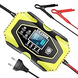 Ueznirn Ladegerät Autobatterie 12V/24V Batterieladegerät KFZ Motorrad Vollautomatisches Intelligentes Erhaltungsladegerät mit LCD-Touchscreen für Lithium, LifePO4, AGM, Gel, Auto/Motorrad Batterie