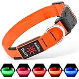 Illumifun LED-Hundehalsband, verstellbar, leuchtendes Haustier-Sicherheitshalsband, wiederaufladbar über USB für Ihre Hunde, die nachts spazieren gehen (orange, klein)