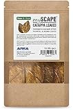 ARKA mySCAPE-CATAPPA Leaves - 8-12 cm / 10 Stück - Natürlicher Wasseraufbereiter aus Seemandelbaumblättern für Süßwasseraquarien, verbessert Gesundheit von Fischen & Garnelen