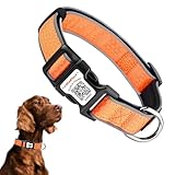 Personalisiertes Hundehalsband mit QR-Code und reflektierendem Streifen, Scannen, um Namen und Telefonnummer zu erhalten, Anti-Verlust-Sicherheitshalsband für Haustiere, geeignet für kleine