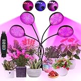 Koytoy Pflanzenlampe LED Vollspektrum 4 Köpfe Pflanzenlicht, 312LED Pflanzenleuchte mit Zeitschaltuhr, 3 Farbmodi und 10 Stufen Dimmbar Wachstumslampe für Innenpflanzen, Zimmerpflanzen