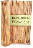 Praknu Schilf Balkon Sichtschutz - FSC® Zertifiziertes, Natürliches Schilf - Vielseitig Einsetzbar Im Innen- Und Außenbereich - Perfekt Für Balkone Und Gärten - 100 x 300cm