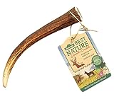 Dehner Best Nature Hundesnack, hochwertiges Leckerli geruchsarm / 100 % natürlich, Kausnack für Hunde, Rothirsch-Geweih, Größe L