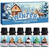 SNOWSEN Winterzeit Ätherische Öle Set, 6 x 10 ml Aromatherapie Ätherische Öle für Diffuser, Diffuser Öl, Seifenduftöl - Weihnachtskranz, Lebkuchen, Zuckerkekse, heiße Schokolade, Pfefferminze, Zimt