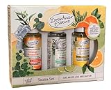 Dresdner Essenz Sauna-Set 3x20ml Sauna-Aufguss Orange Rosmarin Eukalyptus Menthol Eislimone
