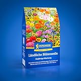 Kiepenkerl Profi-Line Blumensamen-Mischung Ländliche Blütenwelle 1078270 - widerstandsfähige Blumenmischung gegen Trockenheit & Wärme - Wildblumensamen, Blumenwiese